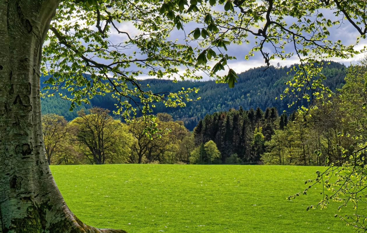 Scottish Borders countryside